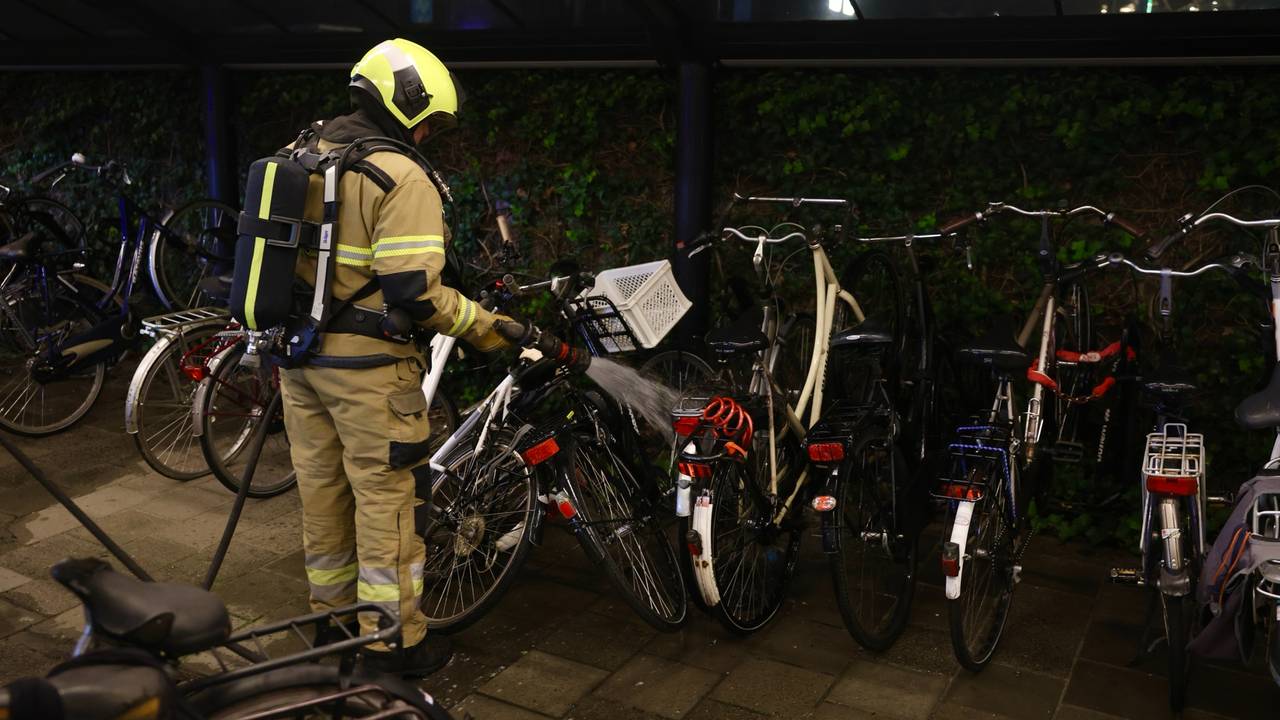 Foto: Sander van Gils / SQ Vision