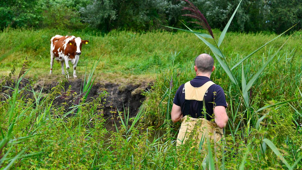 Foto: Rico Vogels/SQ Vision.