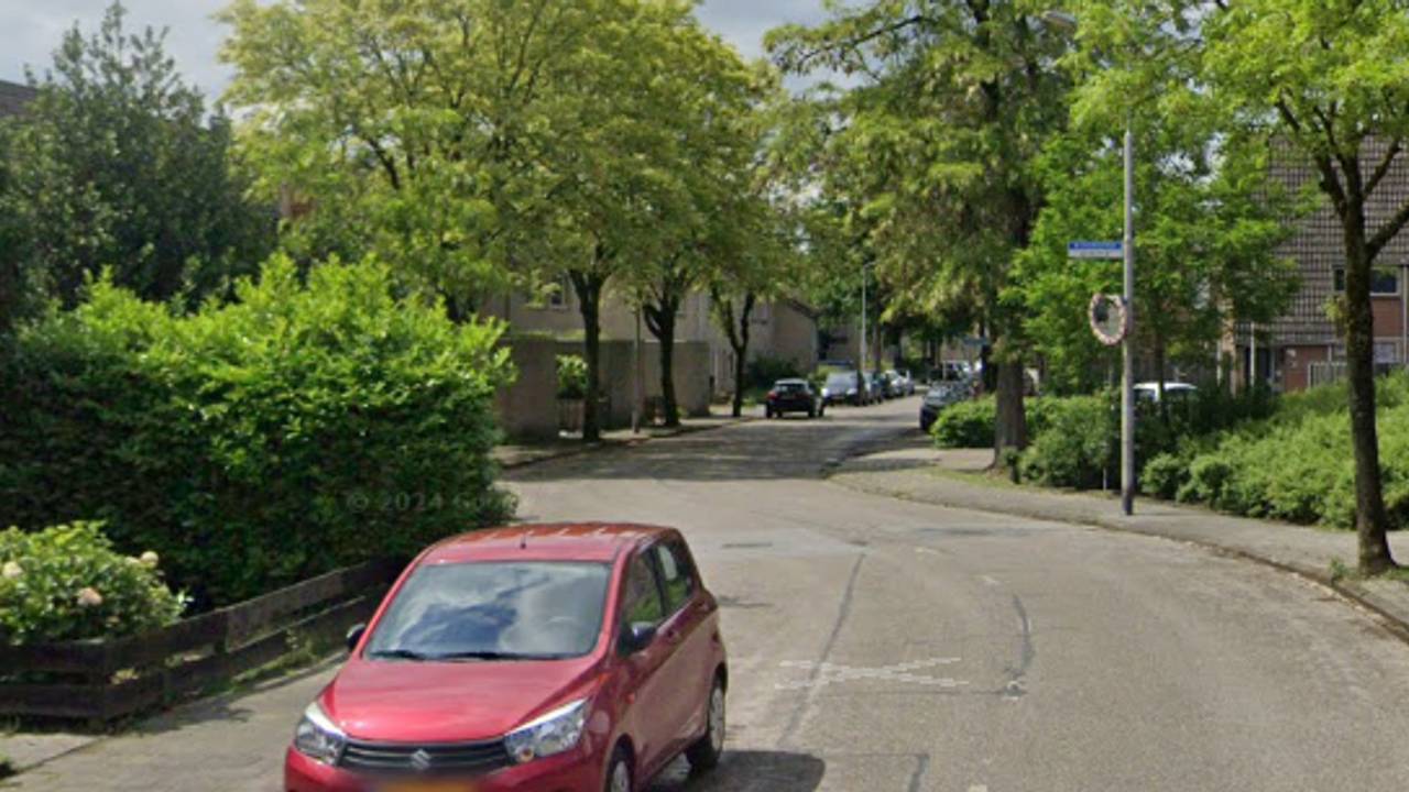 De Desmijndijk in Roosendaal (archieffoto: Google Maps).