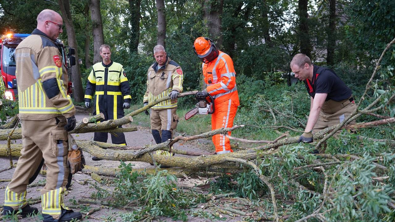 Foto: Jeroen Stuve / SQ Vision