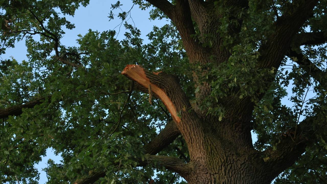 Foto: Saskia Kusters/Persbureau SK-Media/SQ Vision)