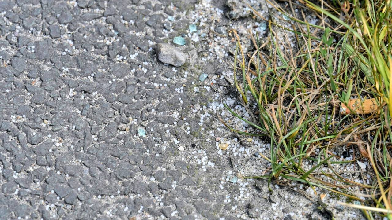 Foto: Tom van der Put/SQ Vision. 