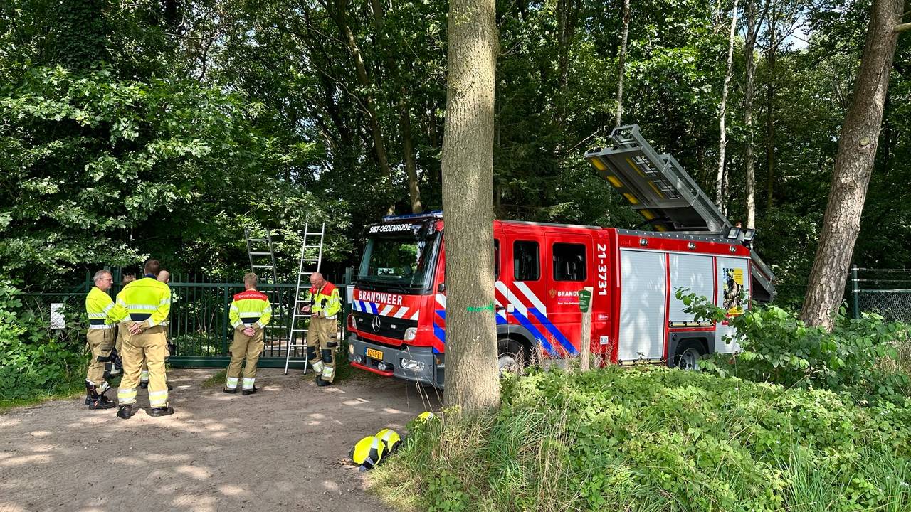 De brandweer ging op onderzoek uit (foto: SQ Vision).