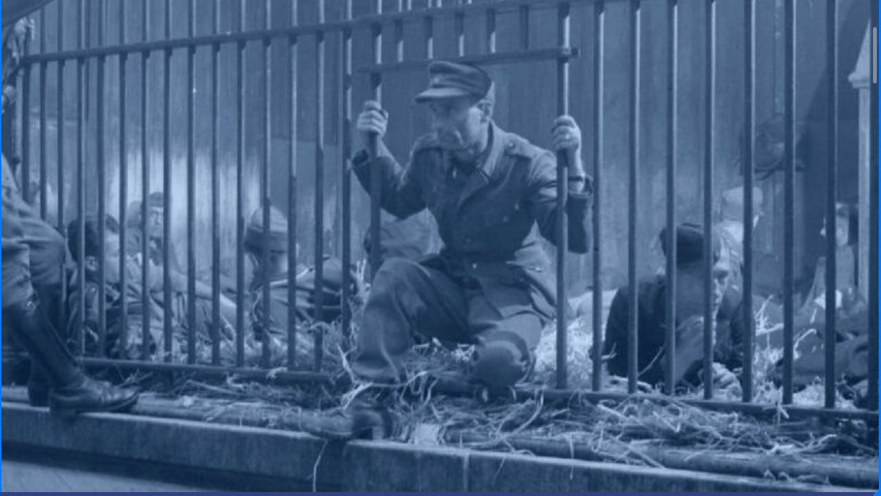 Duitsers gevangen in dierentuinkooien van de Zoo in Antwerpen (foto: Stadsarchief Antwerpen)