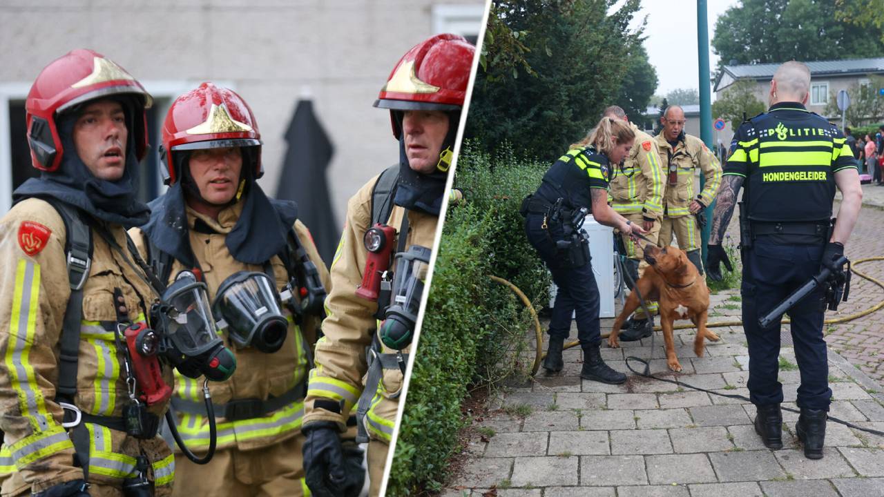 Foto's: Arno van der Linden / SQ Vision