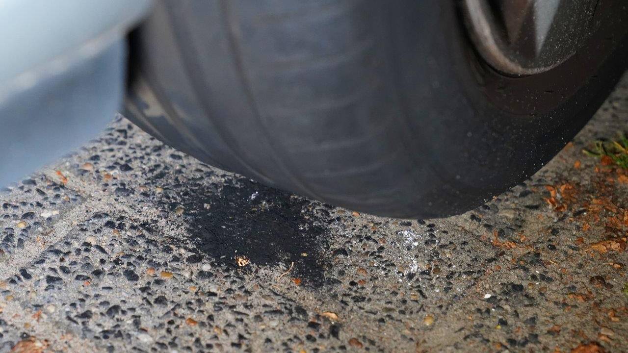 Foto: Bart Meesters/Meesters Multi Media.