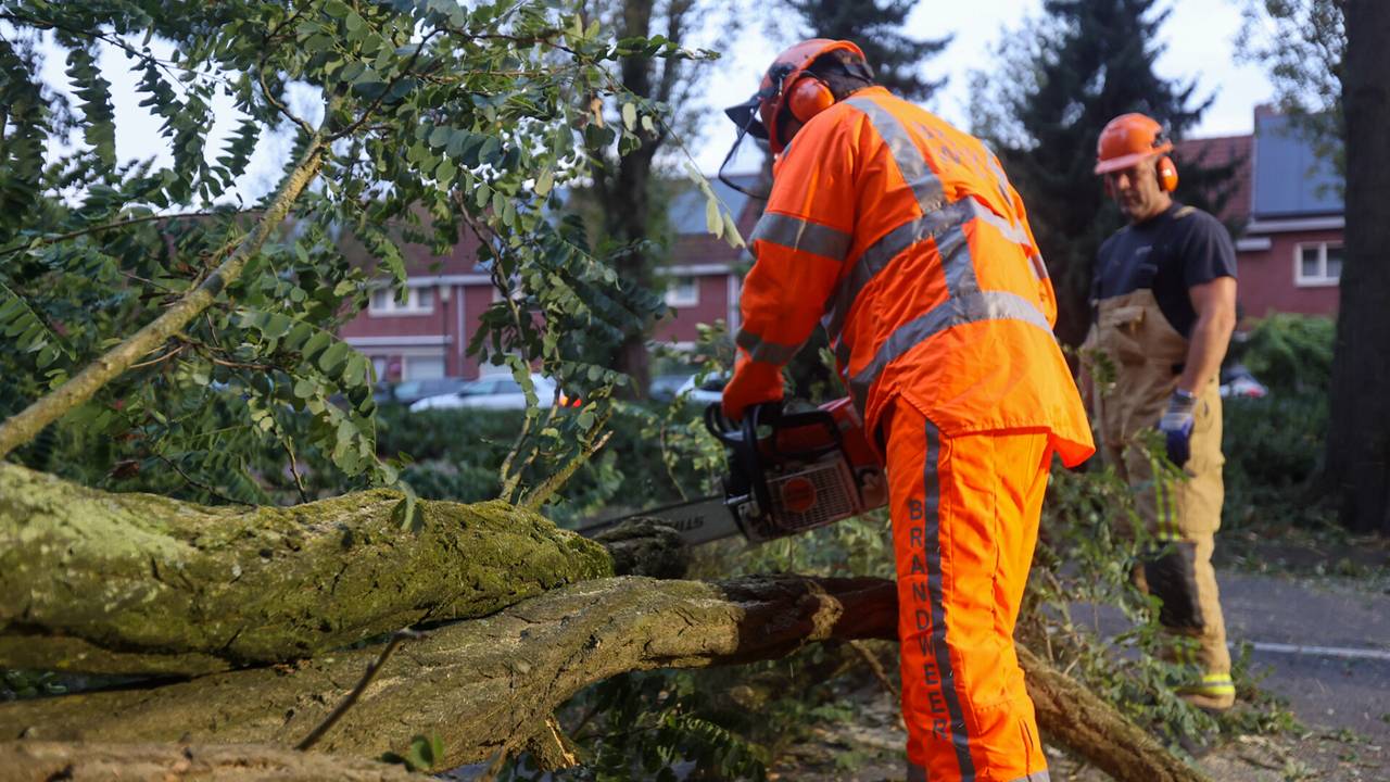 Foto: Arno vna der Linden/SQ Vision.