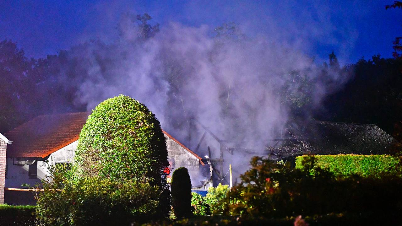 Foto: Rico Vogels / SQ Vision