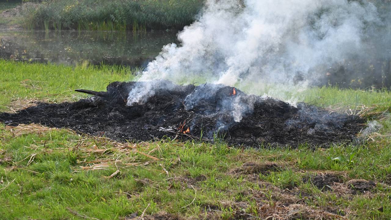 Foto: Perry Roovers/SQ Vision