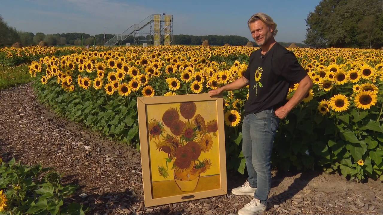 Maker Pierre van Damme met de vaas zonnebloemen zoals die achter hem is ingezaaid (foto: Omroep Brabant)