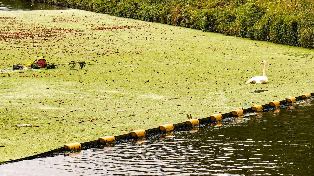 Foto: Harrie Grijseels/SQ Vision.