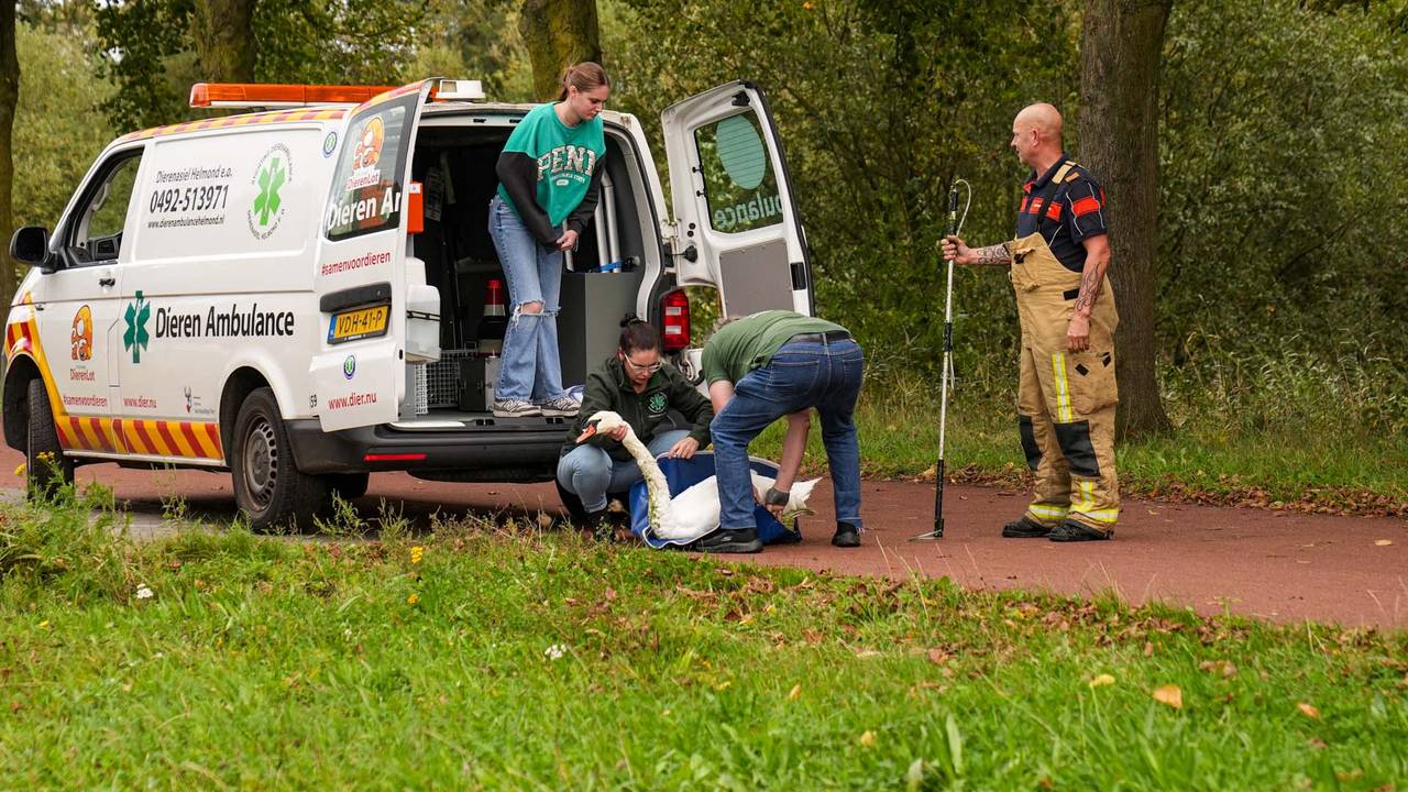 Foto: Harrie Grijseels/SQ Vision.