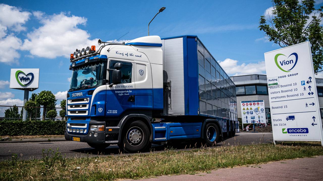 Het bedrijf in Boxtel (Foto: ANP).