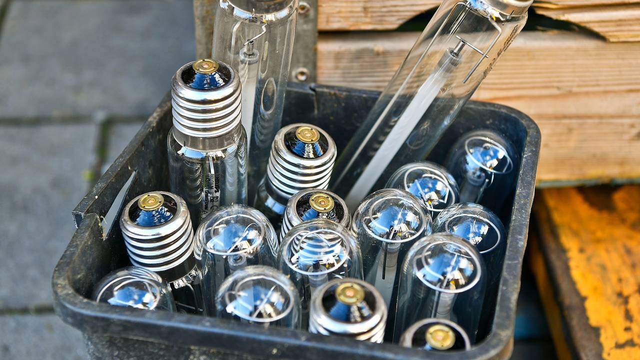 Foto: Rico Vogels/SQ Vision.