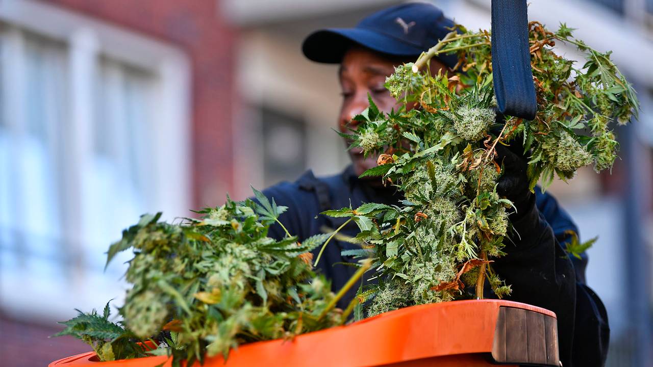 Foto: Rico Vogels/SQ Vision.