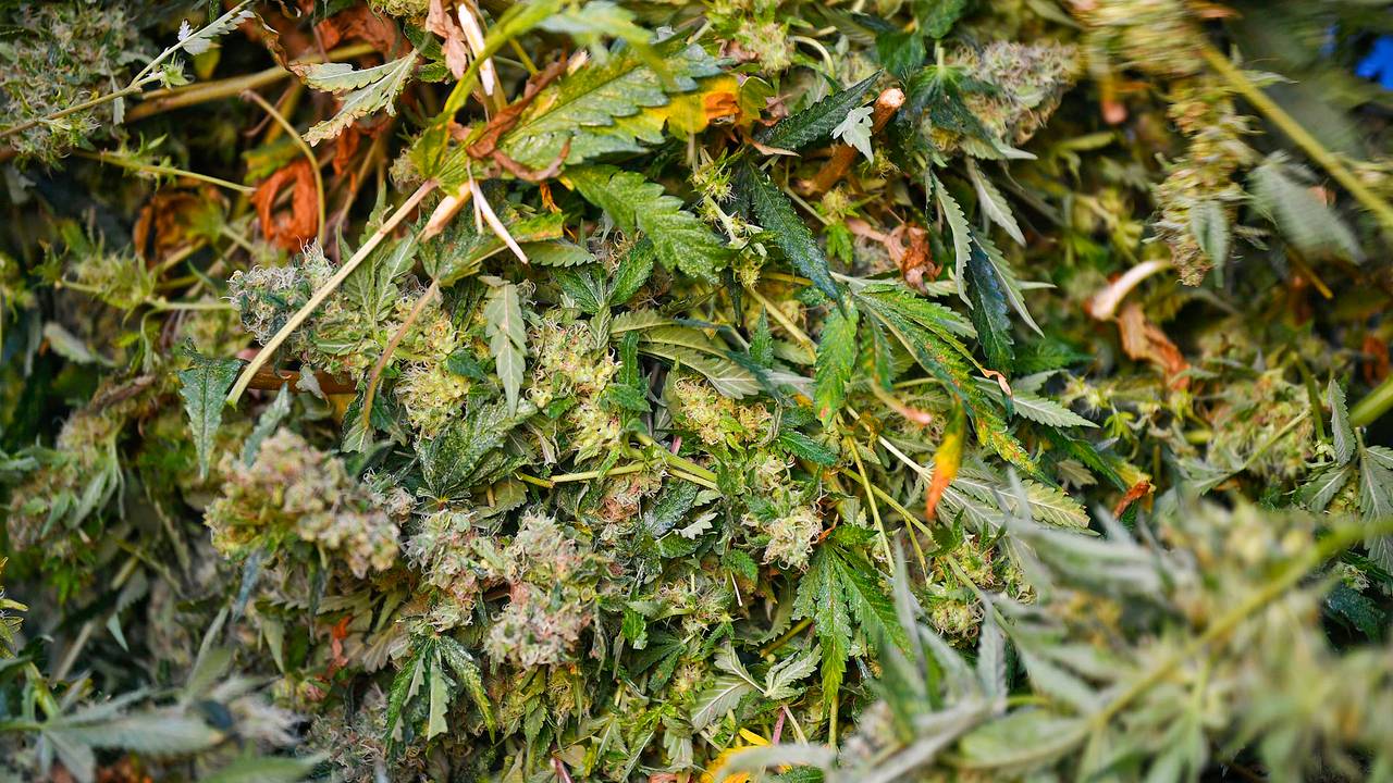 Foto: Rico Vogels/SQ Vision.