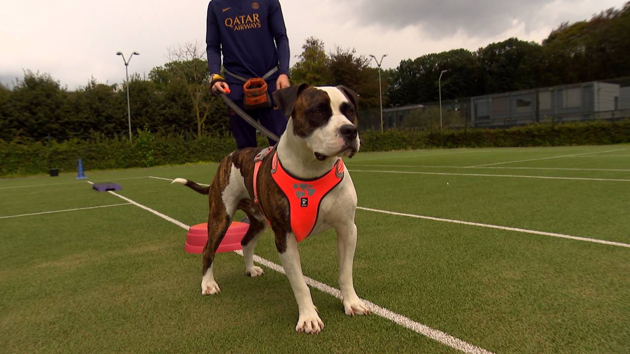 De cliënt van de Woenselse Poort is nu de hondentrainer van Bobbie.