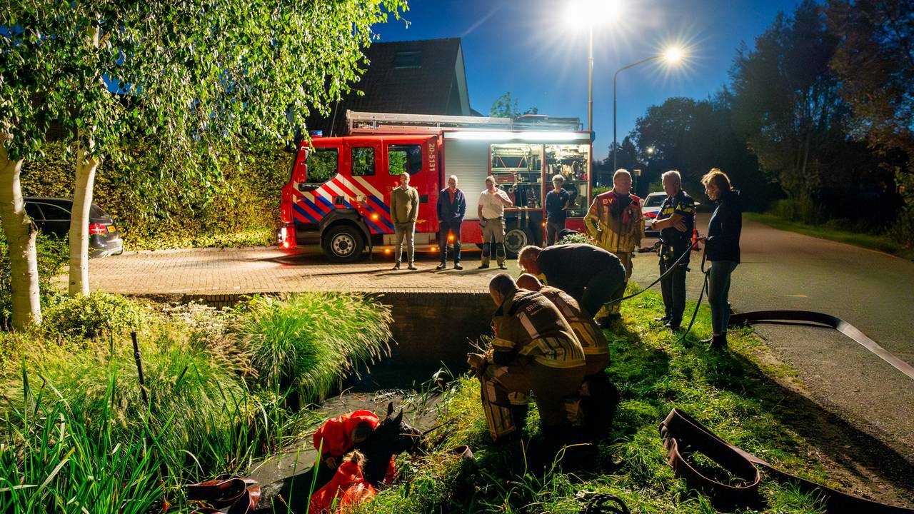 Foto: Jurgen Versteeg/SQ Vision