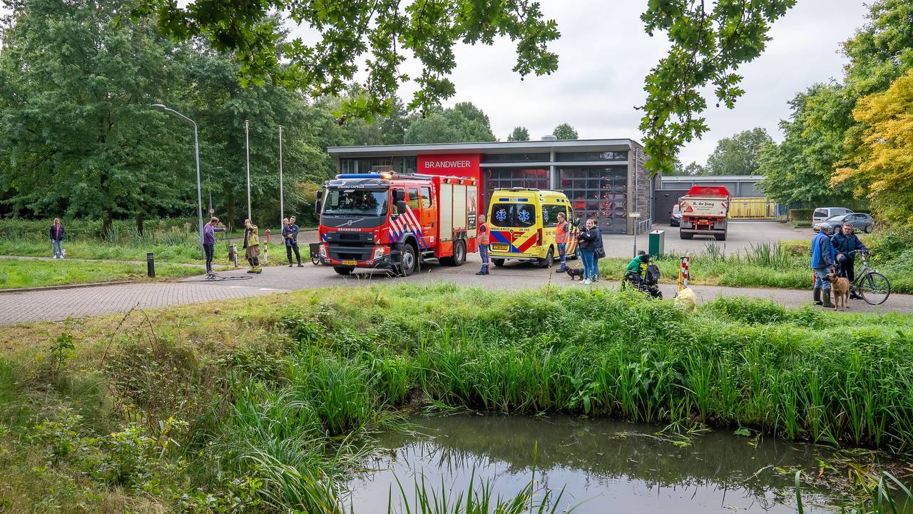 Foto: Iwan van Dun/SQ Vision.