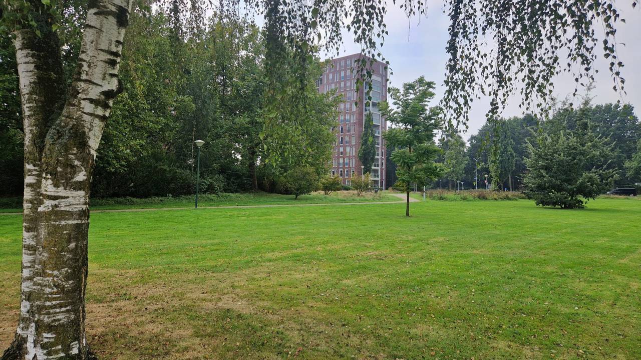 Op dit pad werd de hond doodgebeten.