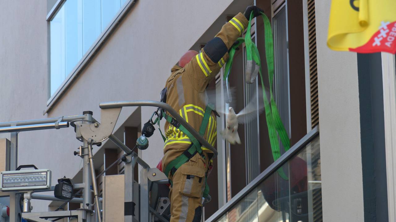 Foto: Tom van der Put/SQ Vision.