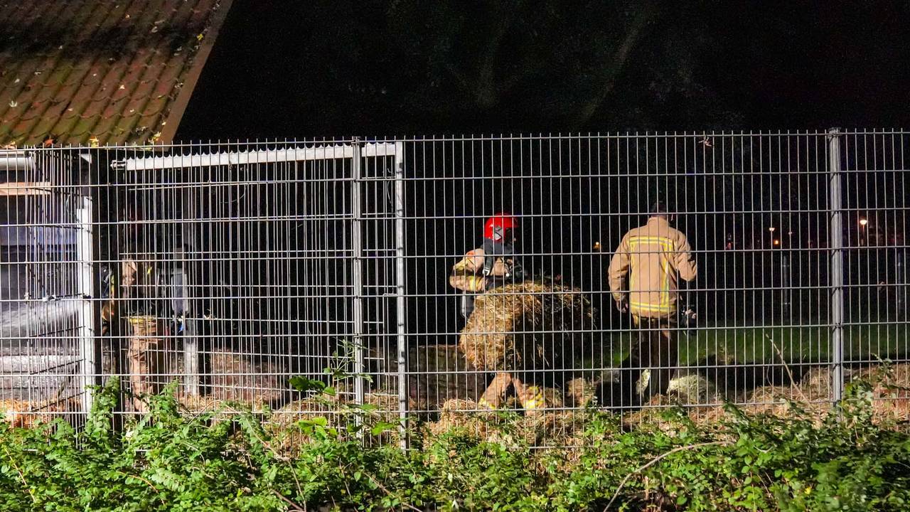 Foto: Harrie Grijseels / SQ Vision