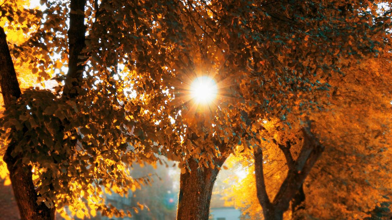 Archieffoto: Pexels / Paul Theodor Oja