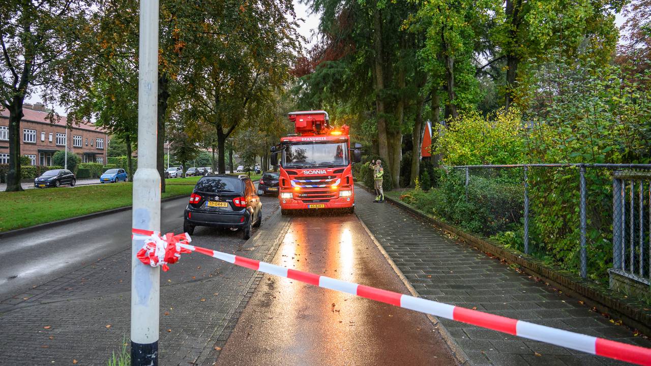 Foto: Tom van der Put/SQ Vision.