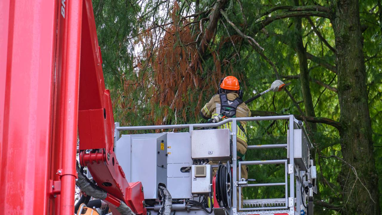 Foto: Tom van der Put/SQ Vision.