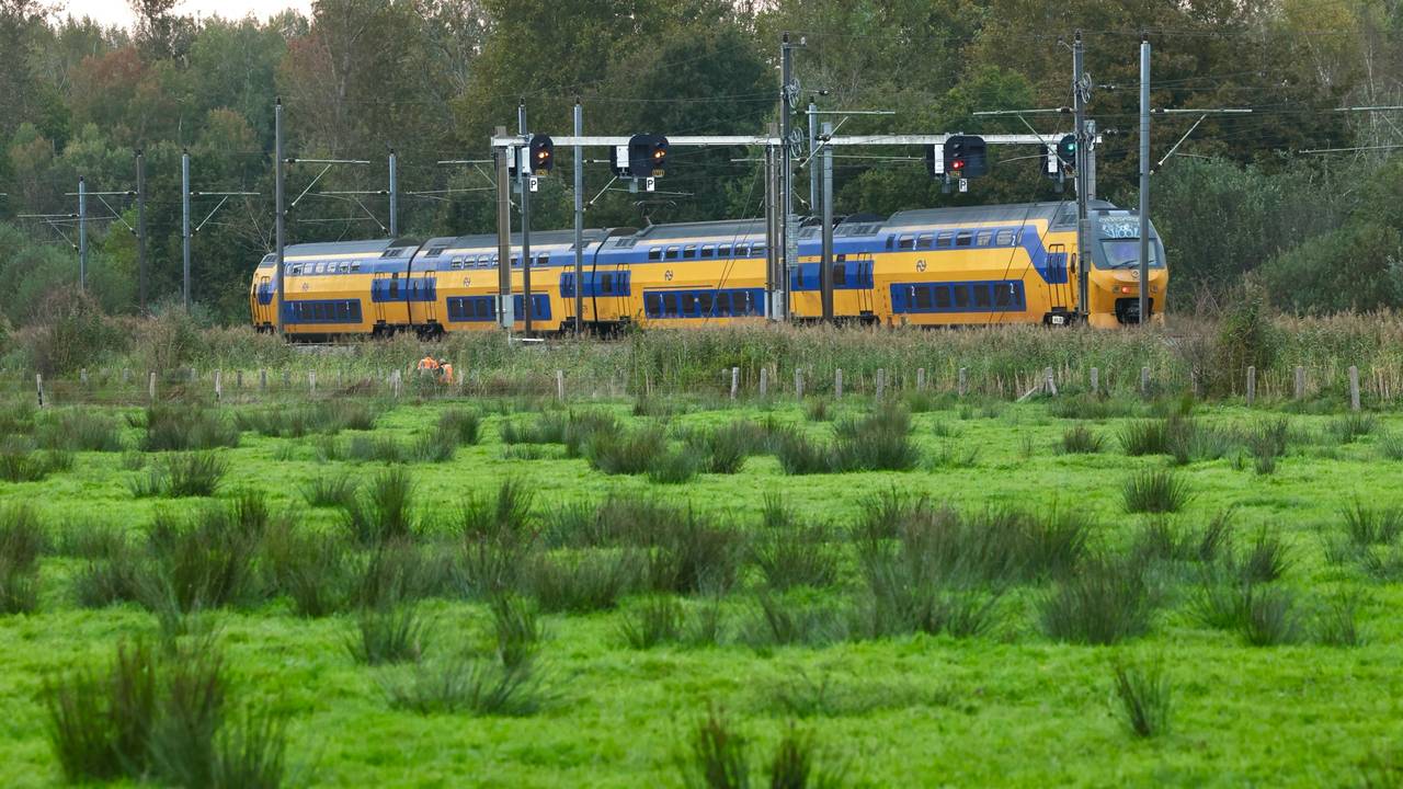 Foto: Sander van Gils/SQ Vision.