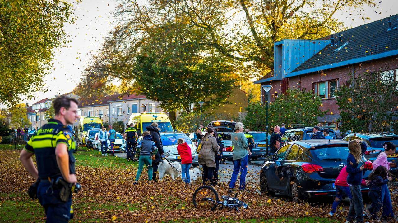 De opstuivende bladeren en omstanders (Foto: SQ Vision) 