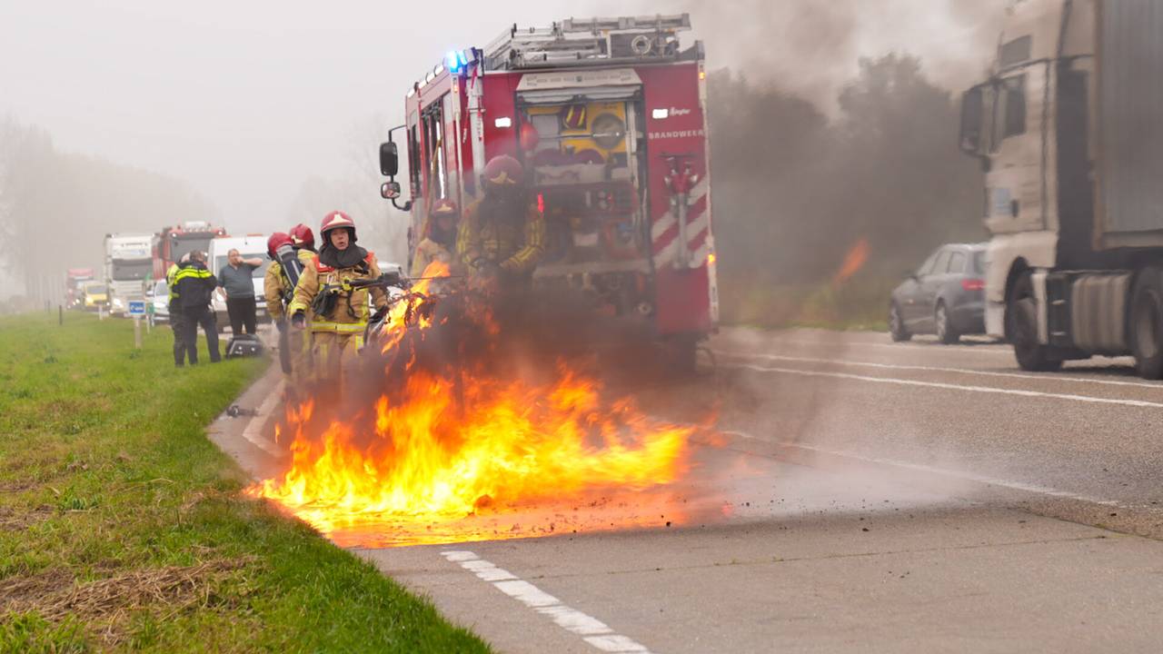 Foto: Harrie Grijseels/SQ Vision.