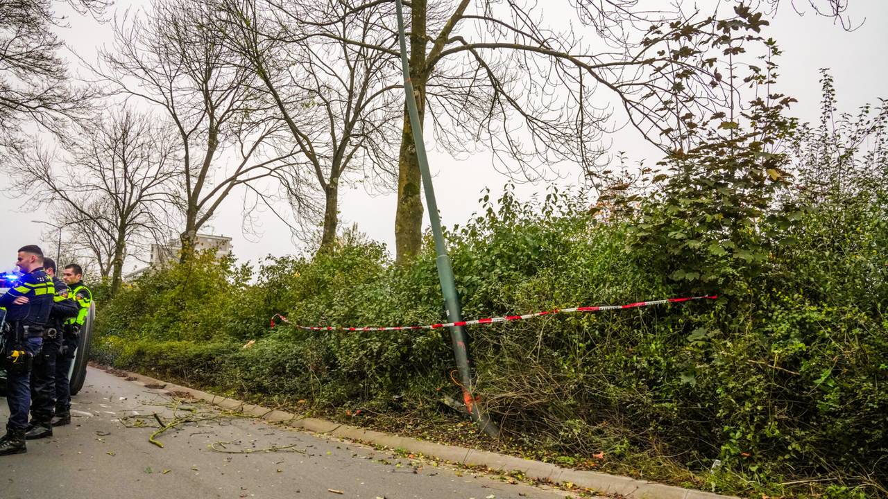 Foto: Dave Hendriks/SQ Vision