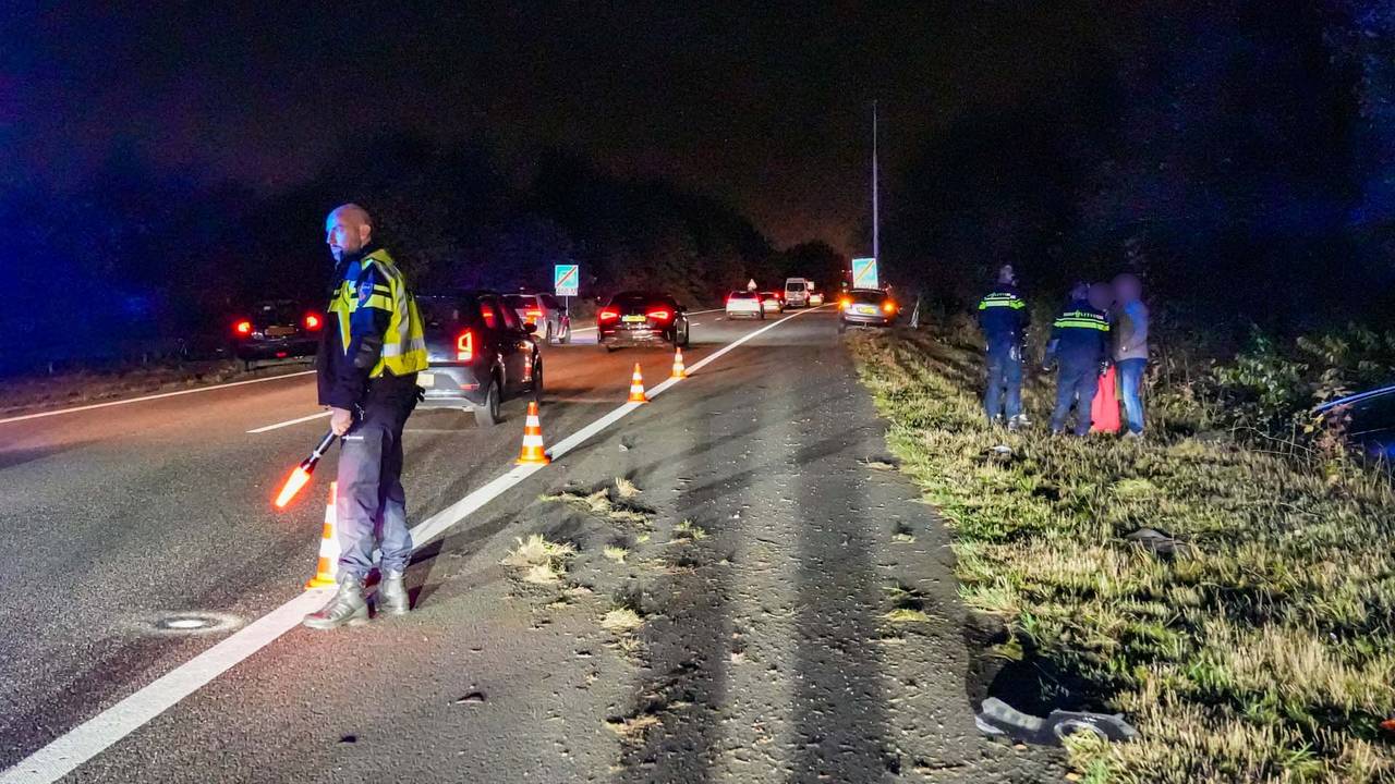 Harrie Grijseels/SQ Vision Mediaprodukties