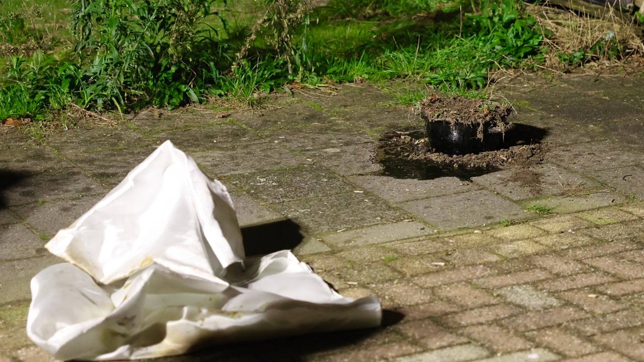 Foto: Sander van Gils/SQ Vision. 