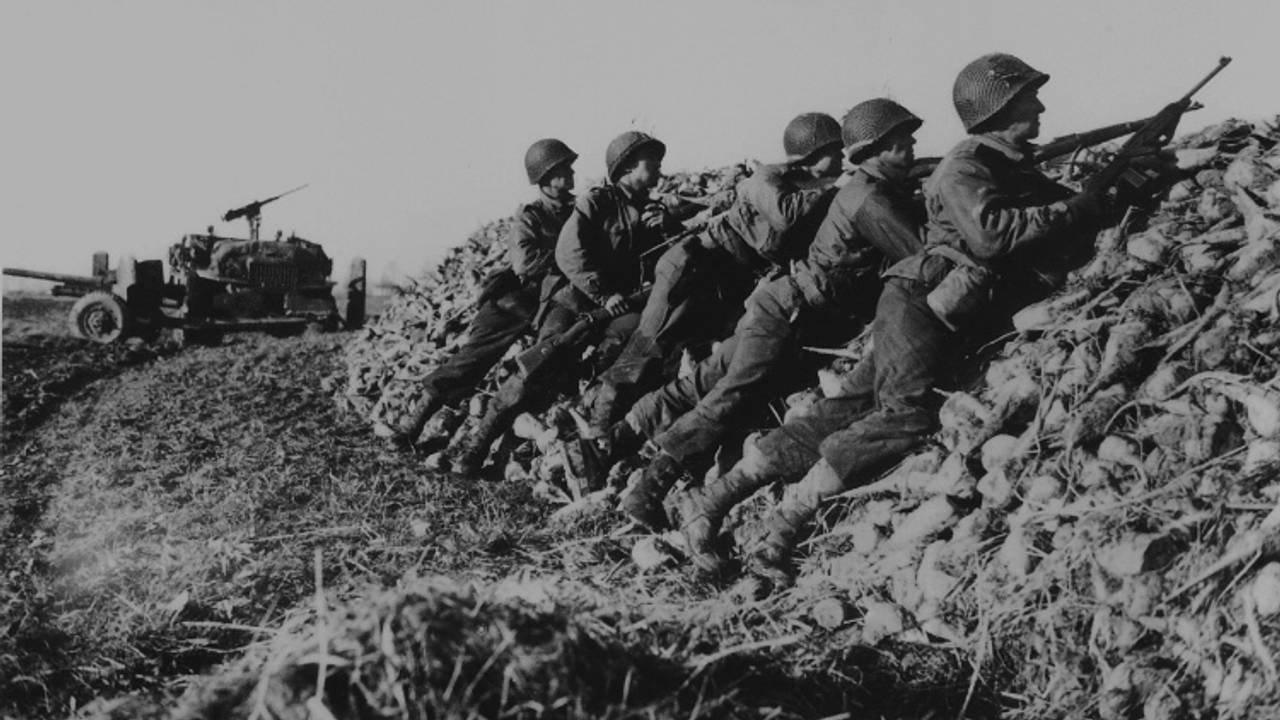 Timberwolves zoeken dekking op een berg suikerbieten bij Standdaarbuiten (foto: archief).