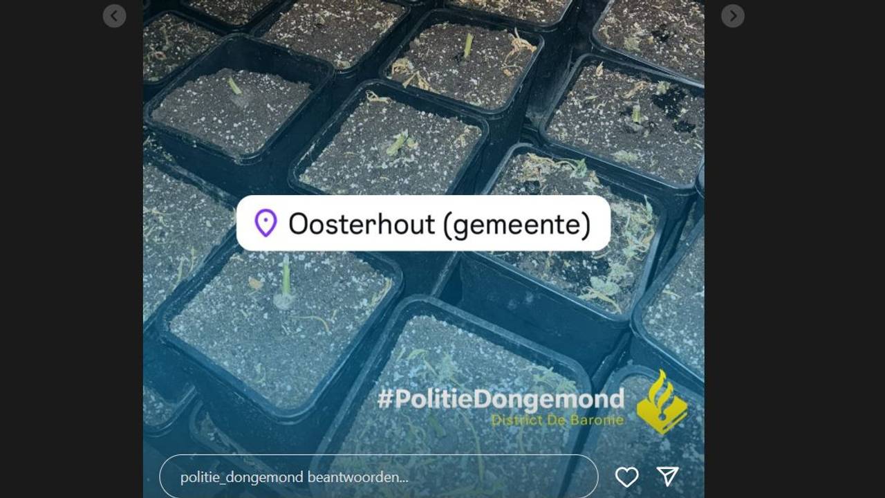 Foto: Politie Dongemond