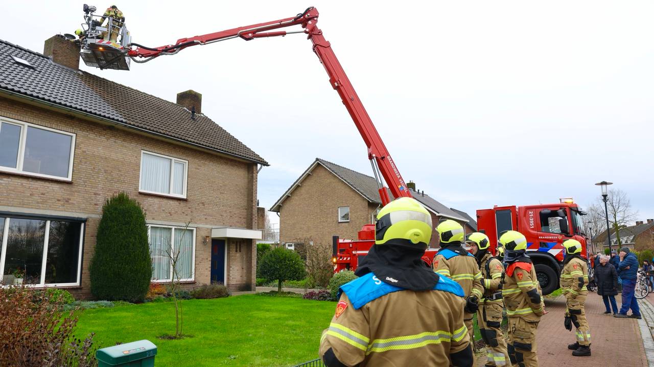 Foto: Sander van Gils/SQ Vision