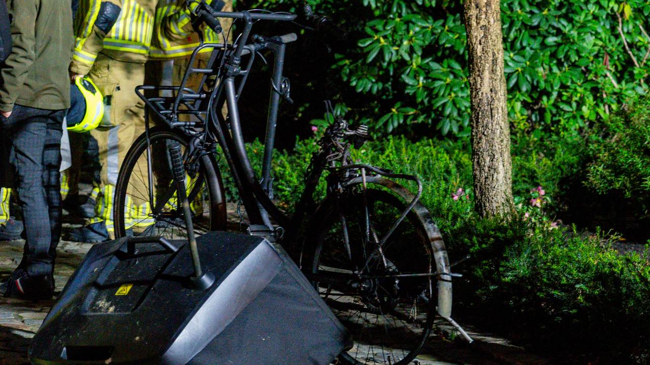 Foto: Jurgen Versteeg/SQ Vision.