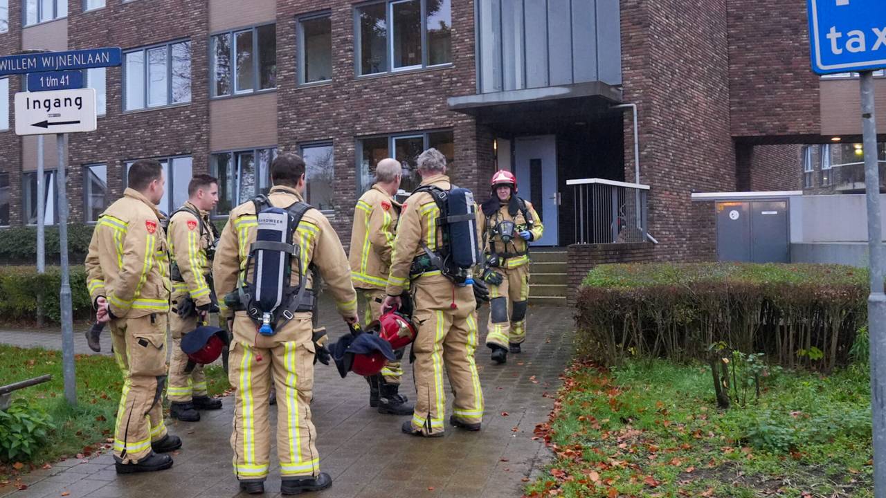 Foto: Harrie Grijseels/SQ Vision.