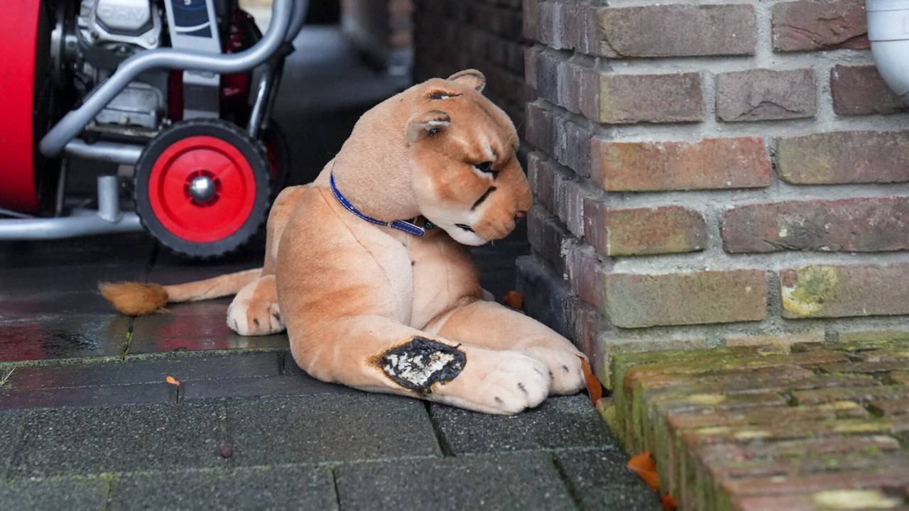 Foto: Harrie Grijseels/SQ Vision.