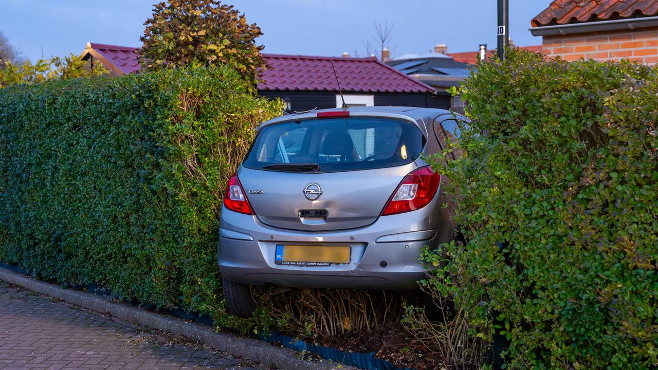 foto: Jurgen Versteeg/SQ Vision