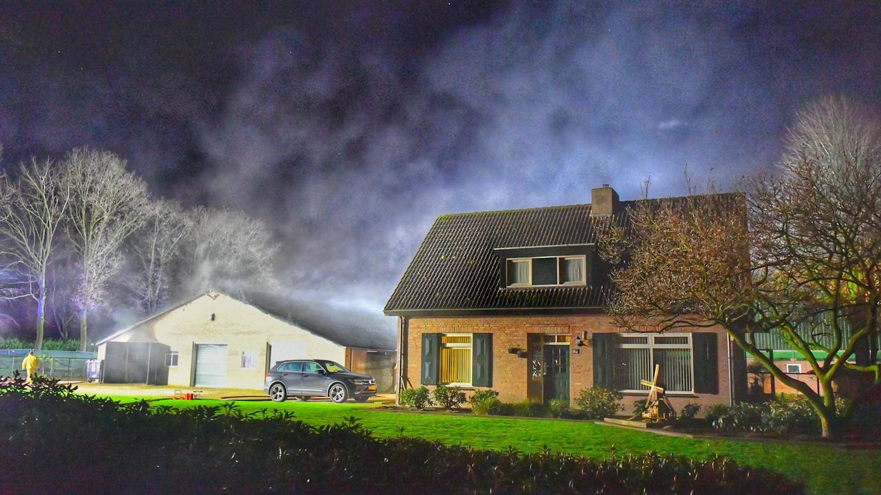 Foto: Rico Vogels/SQ Vision. 