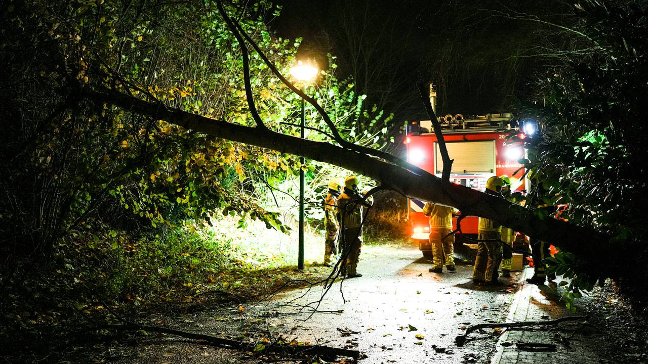 Foto: Erik Haverhals/SQ Vision. 