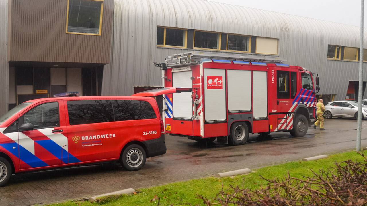 Foto: Harrie Grijseels/SQ Vision. 