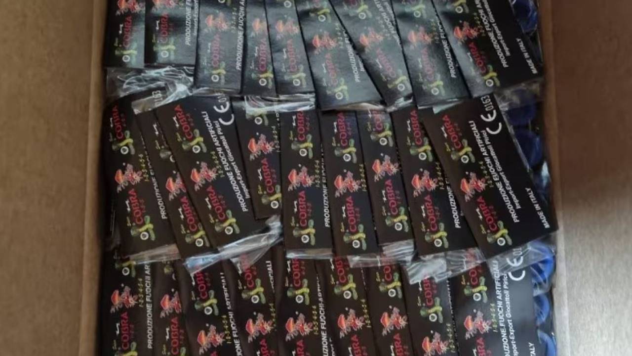 Er werden tientallen gevaarlijke Cobra's aangetroffen (Foto: Politie). 