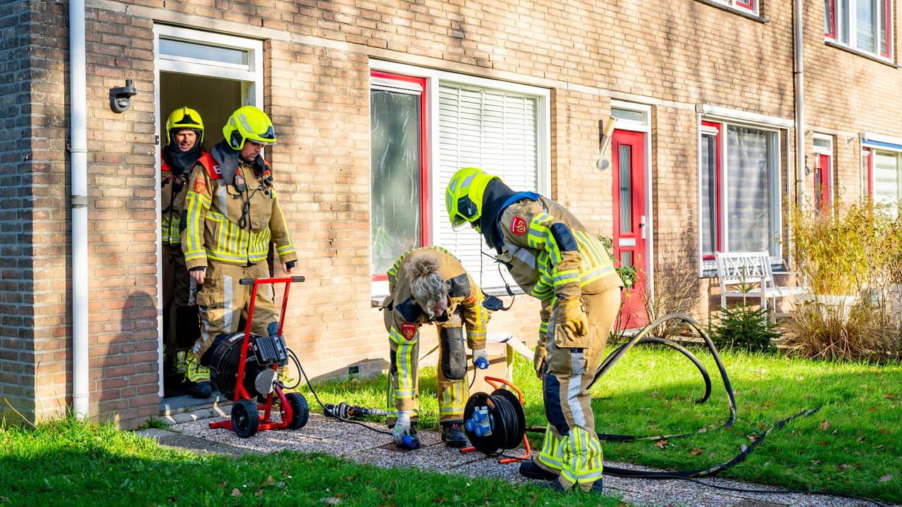 Foto: Jurgen Versteeg/SQ Vision