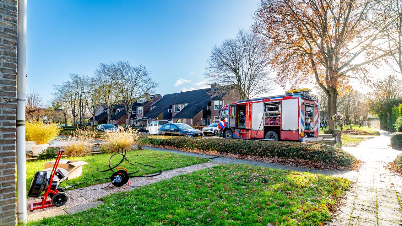 Foto: Jurgen Versteeg/SQ Vision