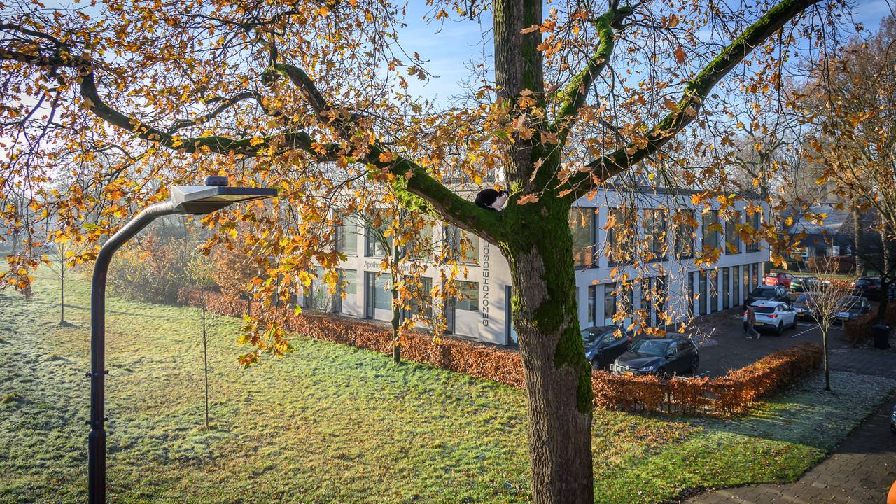 Foto: Tom van der Put/SQ Vision.