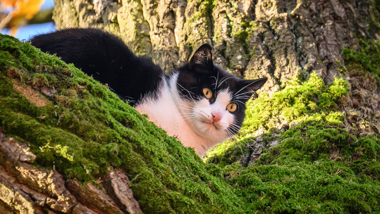 Foto: Tom van der Put/SQ Vision.